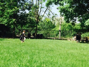 IMG_2941