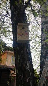 posa delle casette