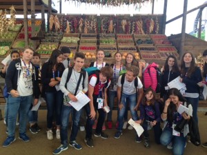 EXPO_3