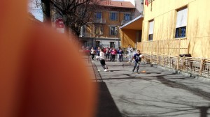 IMG_20160310_114751