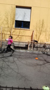 IMG_20160310_115532