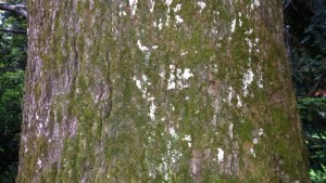 20160516_094602